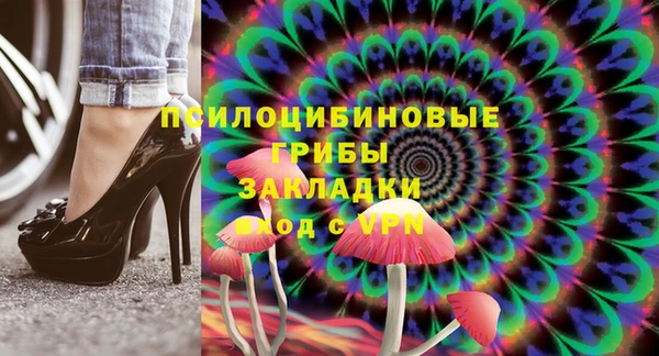 мдпв Алексин